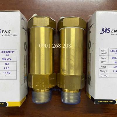 VAN AN TOÀN ĐƯỜNG ỐNG 25A MS Eng